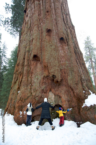 Family hugging sequoia tree