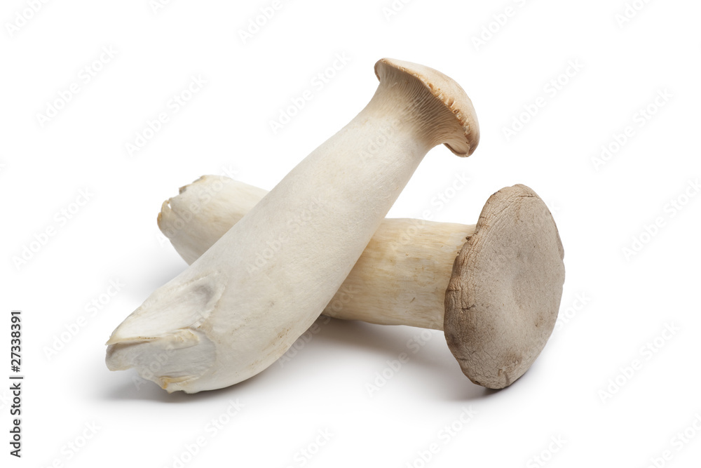 Fresh king oyster mushrooms Fresh king oyster mushrooms