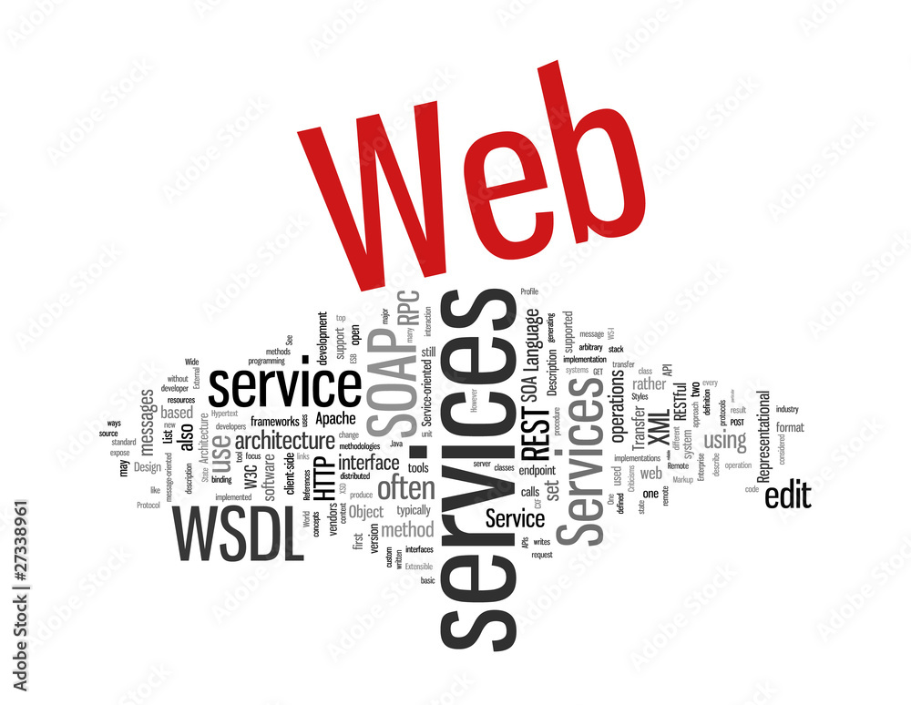 Fototapeta premium Web Services Word Collage on white background