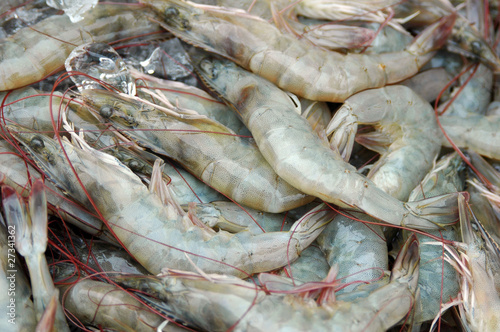 Seafood in the market