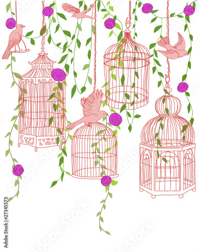 Rose garden with (open) bird cages