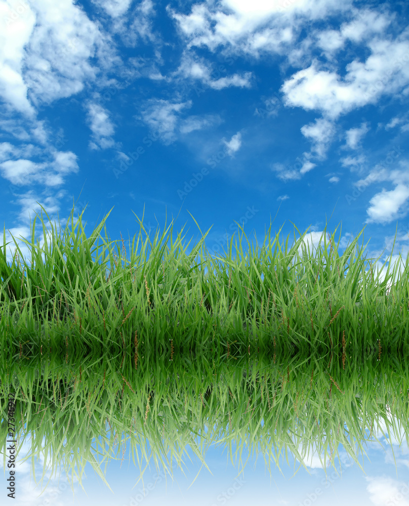 Obraz premium green grass with blue sky reflection