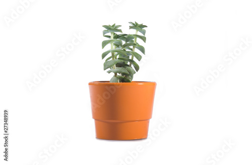 Piccolo vaso arancione