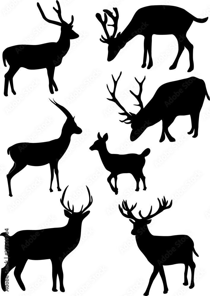 Fototapeta premium collection of deers - vector