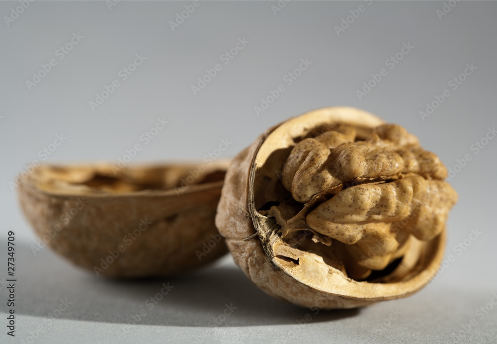walnut over grey background still-life. is not isolated image walnut over grey background still-life. is not isolated image