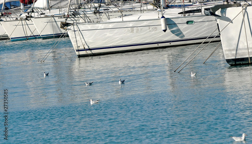 gulls and yacht photo