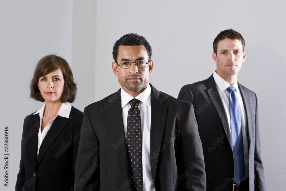 Diverse businesspeople in suits Diverse businesspeople in suits