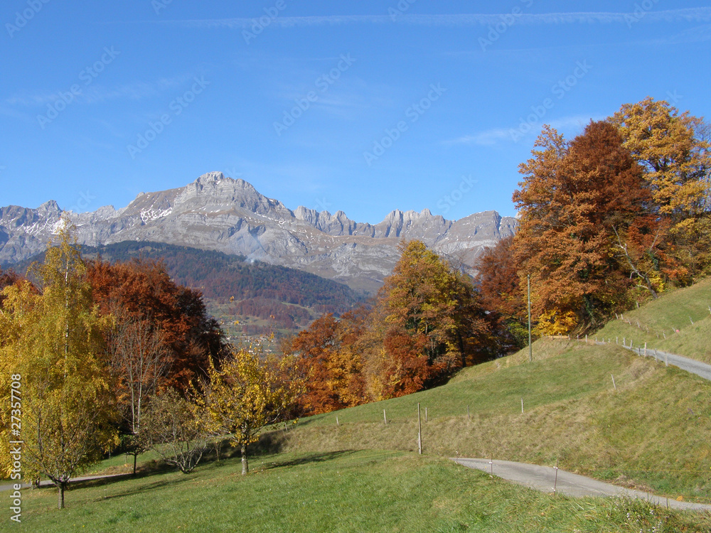 Fototapeta premium Aravis en automne