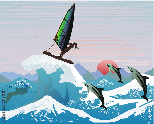 dolphins and windsurfer in waves