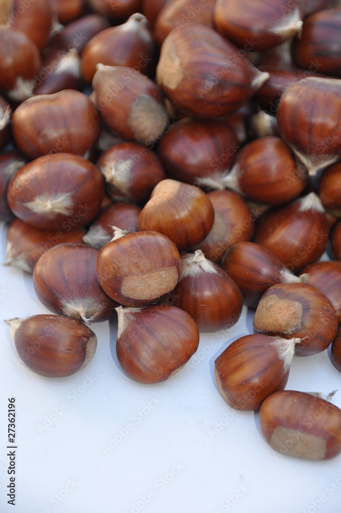 Chestnut (Castanea) and the edible nuts they produce Chestnut (Castanea) and the edible nuts they produce