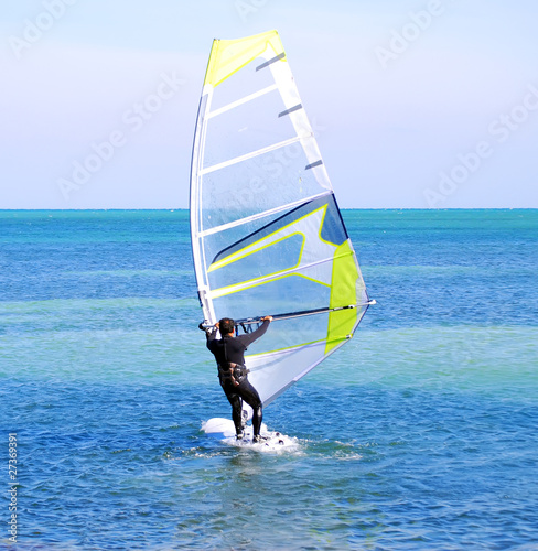Windsurfer