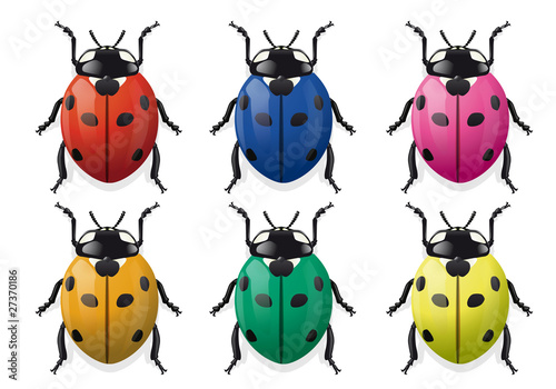 Coccinelle_x6