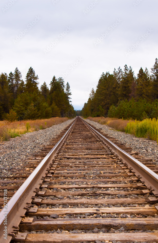 Train Tracks