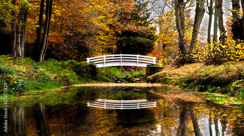 Bridge Reflection