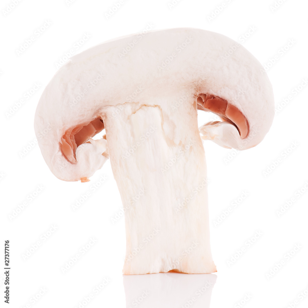 Champignons Champignons