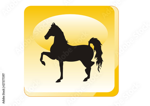 Tiere - Pferd