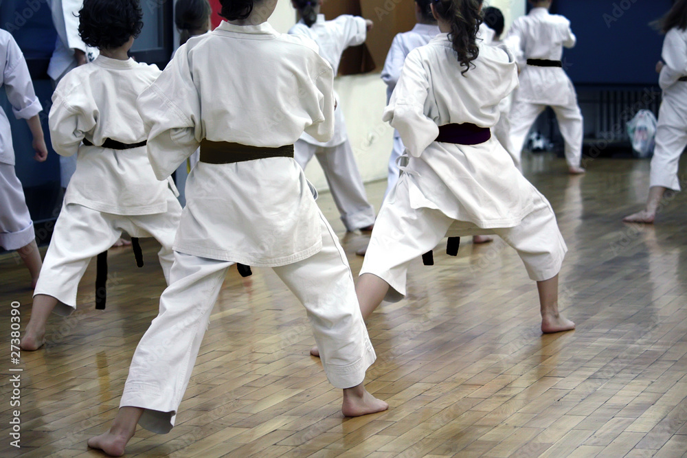 karate karate