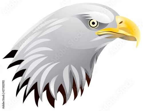 Bald Eagle Head in vector