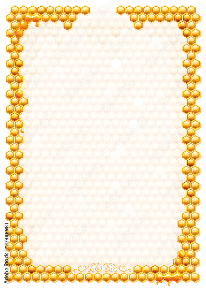 Frame with bee honeycombs Frame with bee honeycombs
