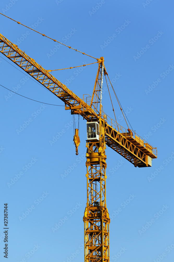 grue jaune grue jaune