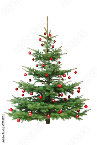 Rot dekorierter Weihnachtsbaum