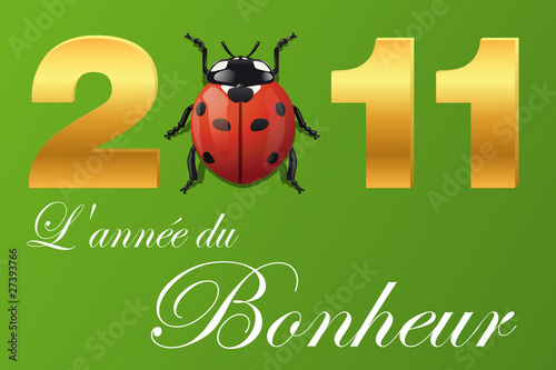 2011_Annee_Bonheur_Coccinelle