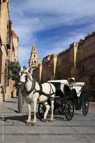 horse driven carriage in Cordoba