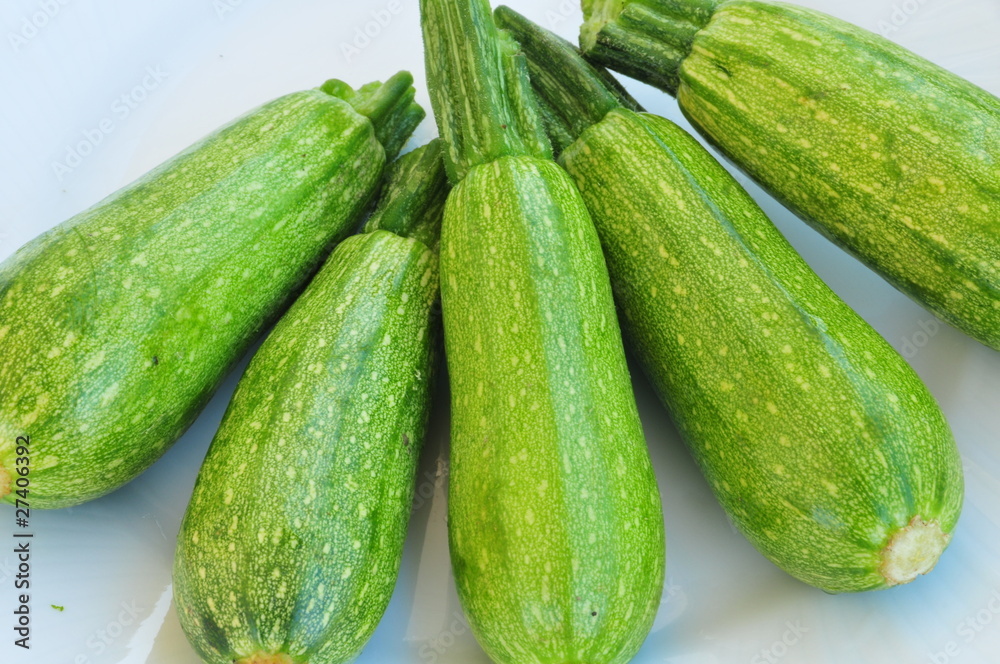 squash squash