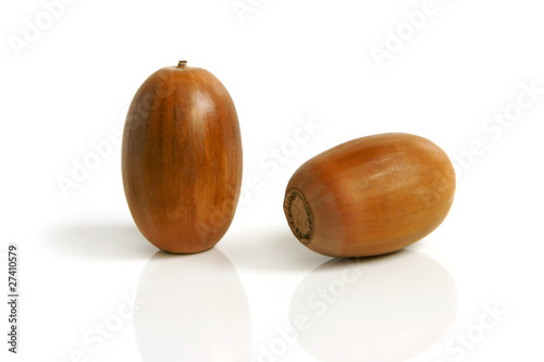 Two acorns