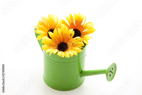 Fototapeta Naklejka Na Ścianę i Meble -  Sonnenblumen auf Gießkanne