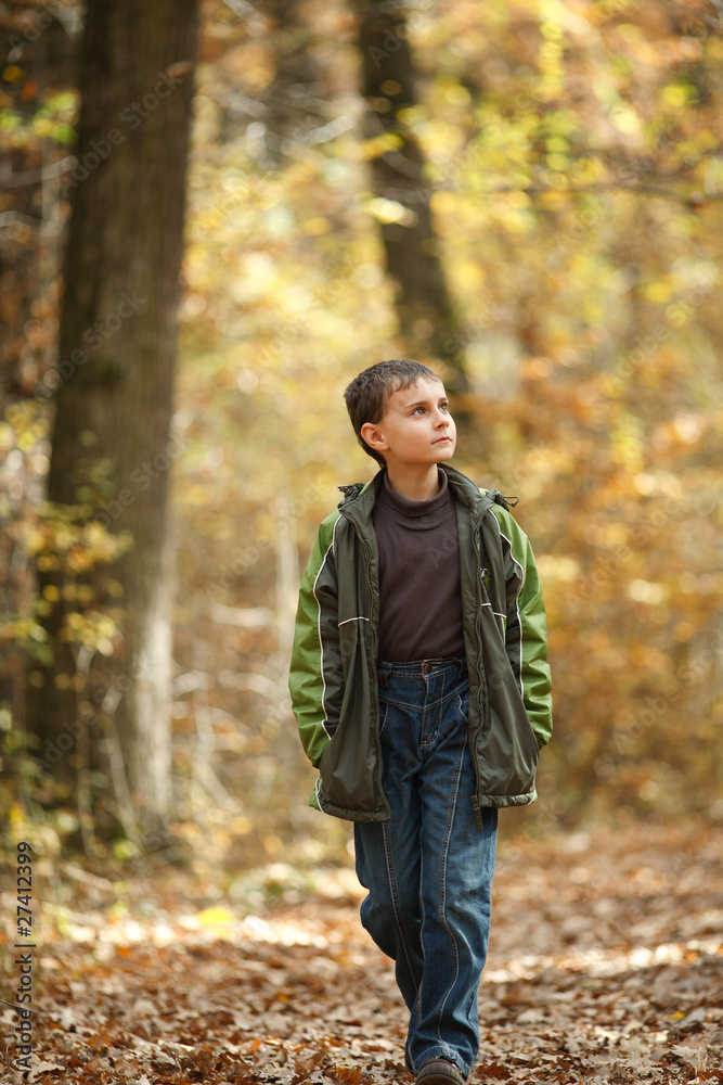 Boy walking through forest