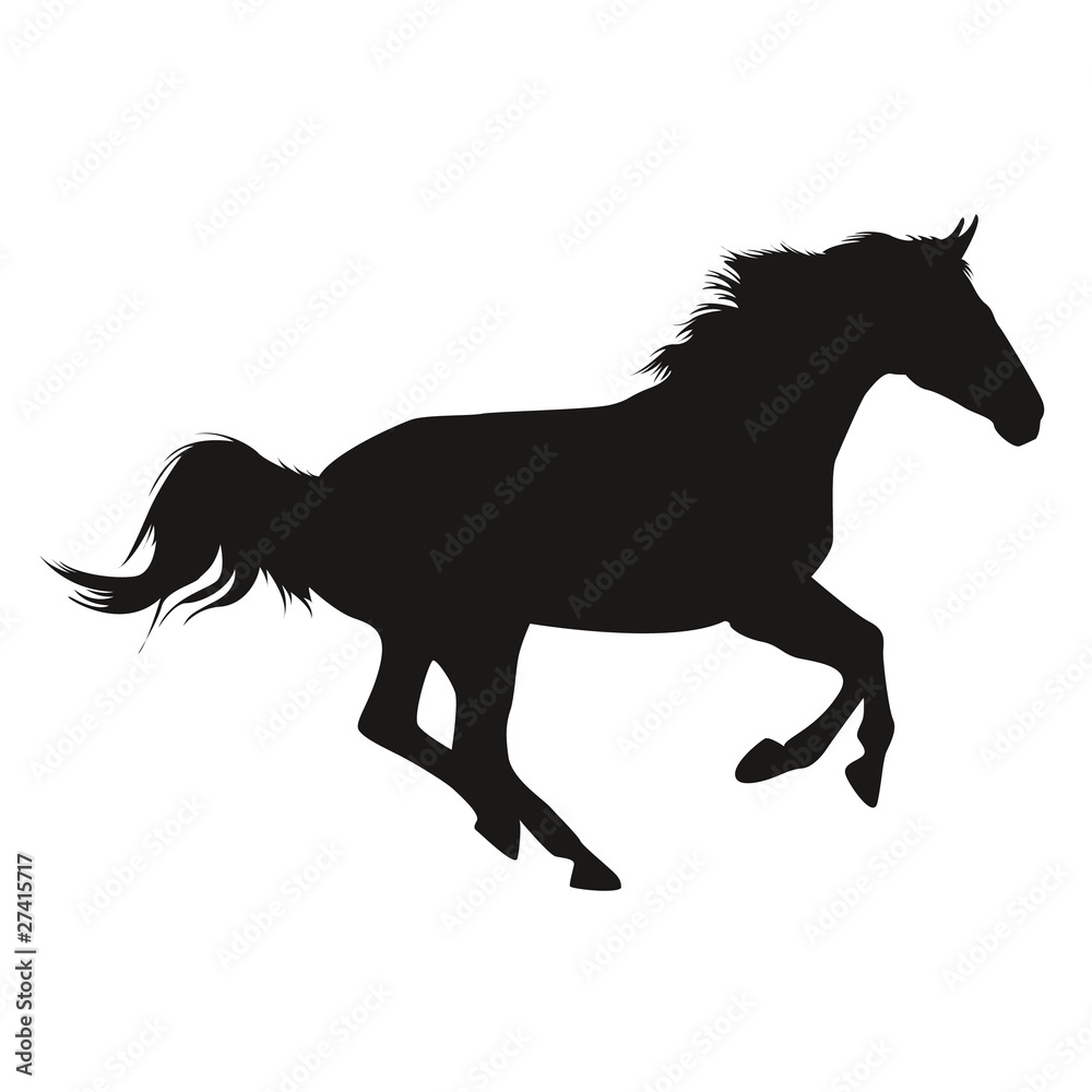 Horse Shadow Wallpaper Silhouette Cheval