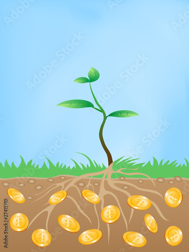 money tree