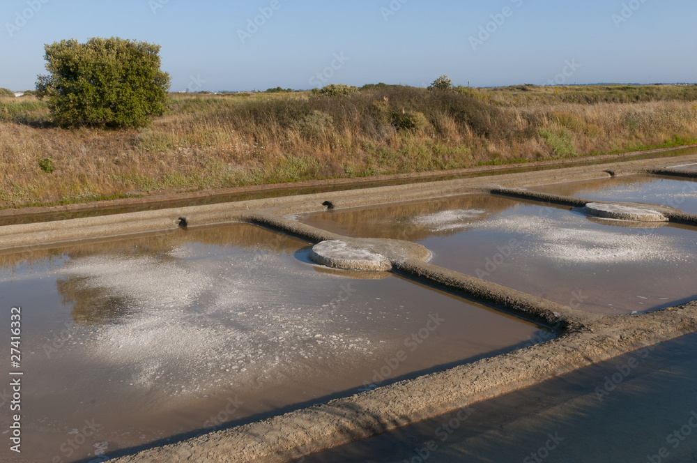 Cristallisation du sel dans les marais salants de Guérande StockFoto