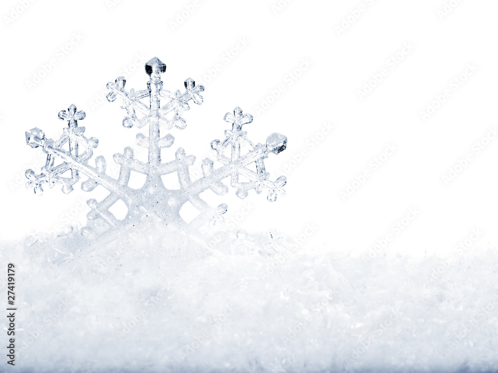 Obraz premium Snowflake in snow.