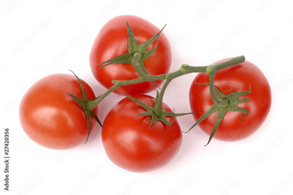 Tomatoes on branch isolated on white