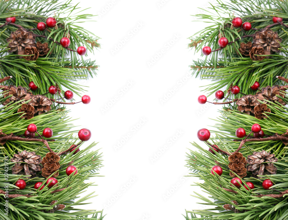Cone and berry Christmas frame Cone and berry Christmas frame