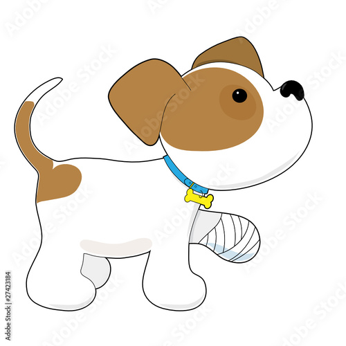 Cute Puppy with a Hurt Paw