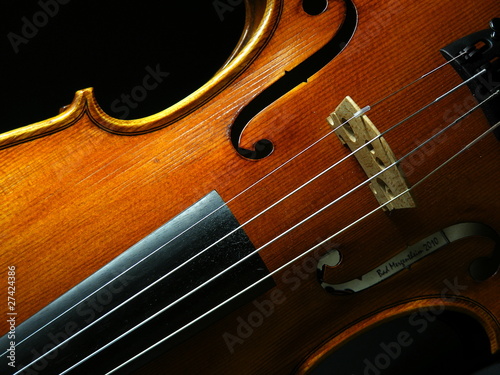 violin 04