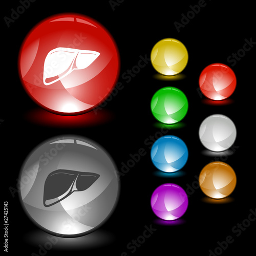 Liver. Vector interface element.