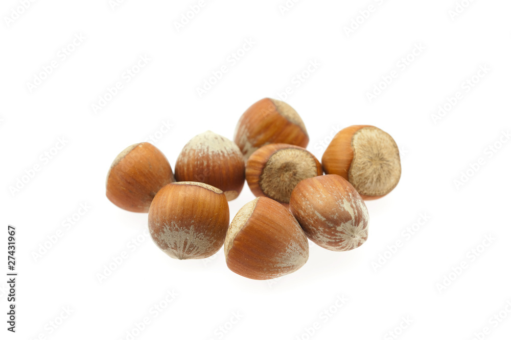 hazelnuts isolated on white