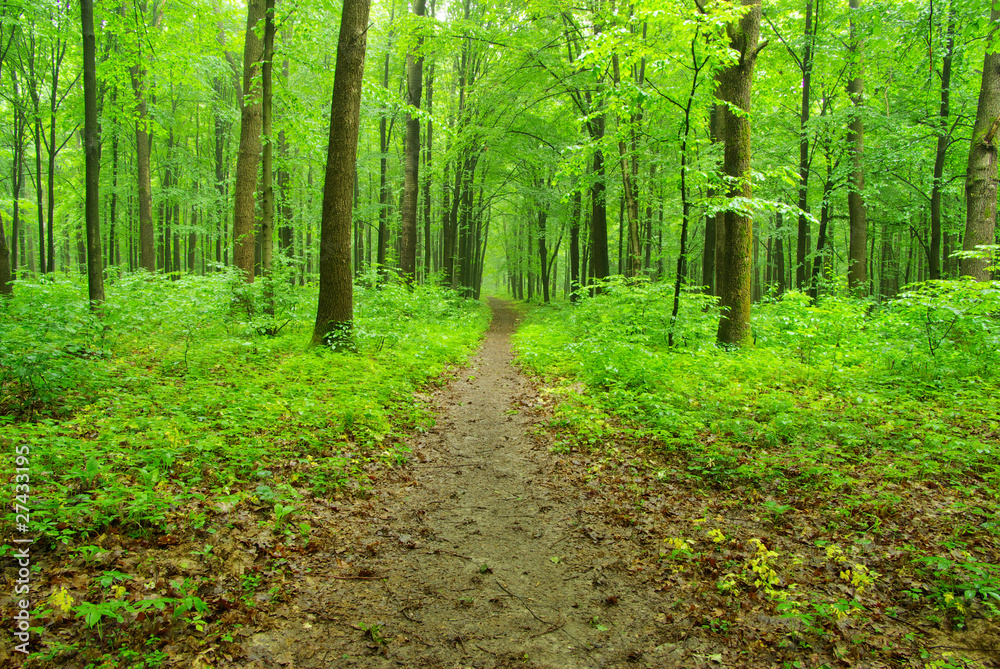 nature nature