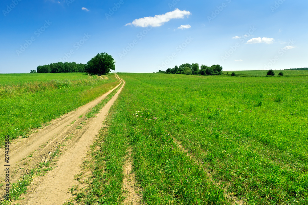 Summertime countryside landscape