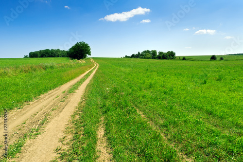 Summertime countryside landscape