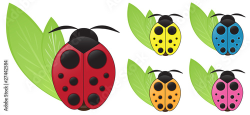 Ladybug