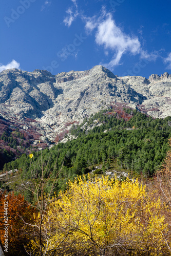 Montagne aux couleurs de l'automne en Corse à Vizzavona