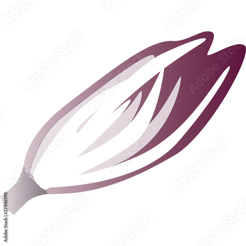 radicchio