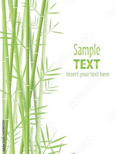 Fototapeta Naklejka Na Ścianę i Meble -  bamboo vector background
