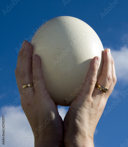 big egg photo