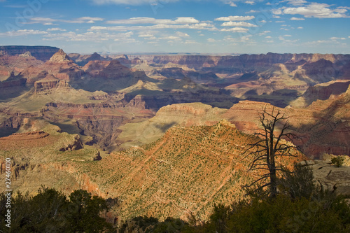 Grand Canyon in the Spring